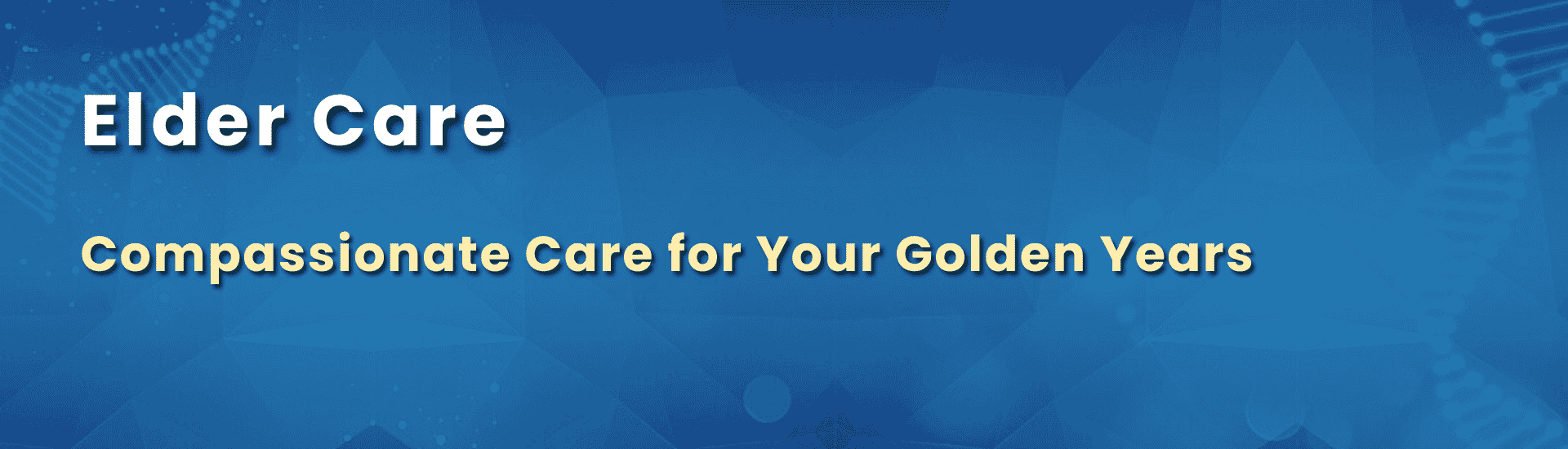 Elder Care at Home, Senior Care Services